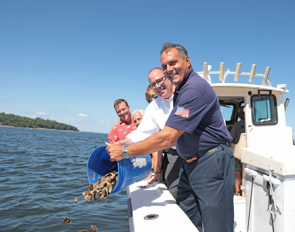 Town & SUNY Stony Brook Partner to Put Oysters Back in Oyster Bay