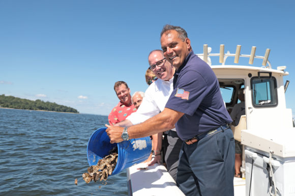 Town & SUNY Stony Brook Partner to Put Oysters Back in Oyster Bay